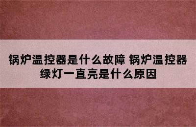 锅炉温控器是什么故障 锅炉温控器绿灯一直亮是什么原因